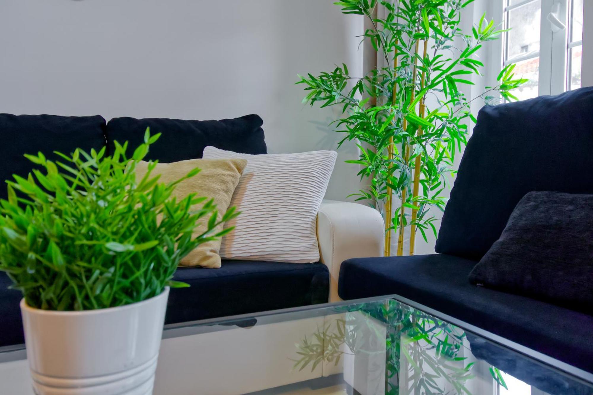 Apartment Beautiful And Spacious Flat In The Center Lisbon