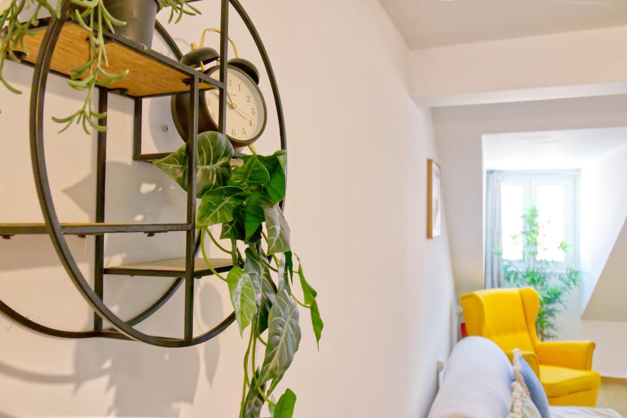 Apartment Beautiful And Spacious Flat In The Center